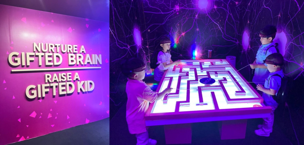 Gifted Brain Room